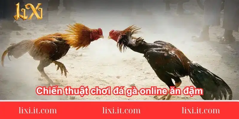 chien thuat choi da ga online an dam 1 chien-thuat-choi-da-ga-online-an-dam