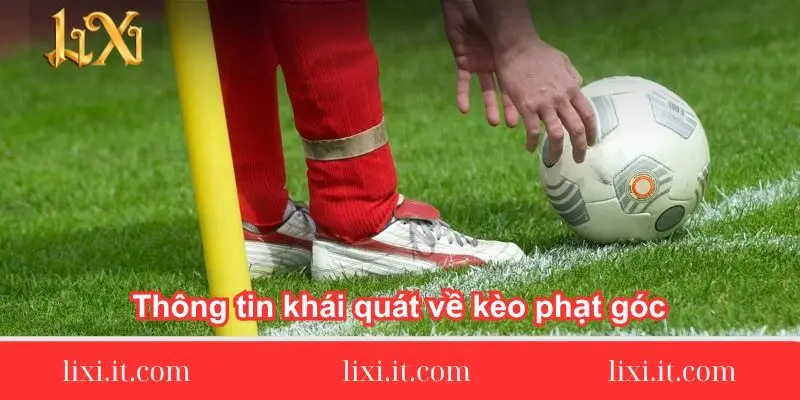 mot-so-thong-tin-so-net-ve-keo-the