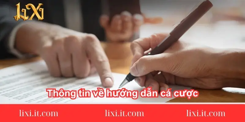 thong-tin-ve-huong-dan-ca-cuoc-tai-lixi88