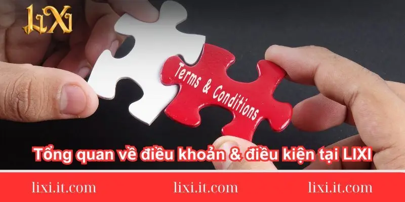 tong-quan-ve-dieu-khoan-dieu-kien-tai-lixi88
