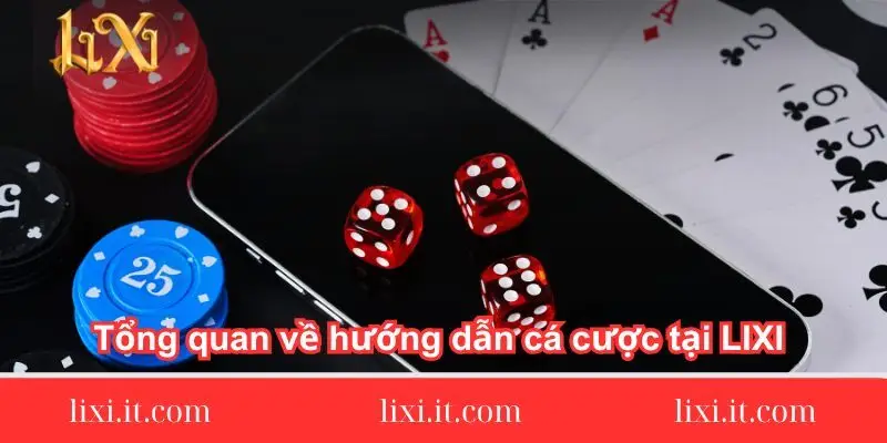 tong-quan-ve-huong-dan-ca-cuoc-tai-lixi88